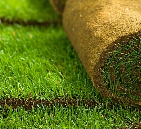 Natural Grass