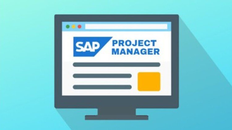 SAP Project Manager