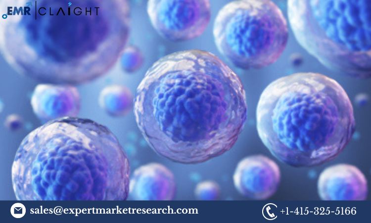 Stem Cell Assay Market