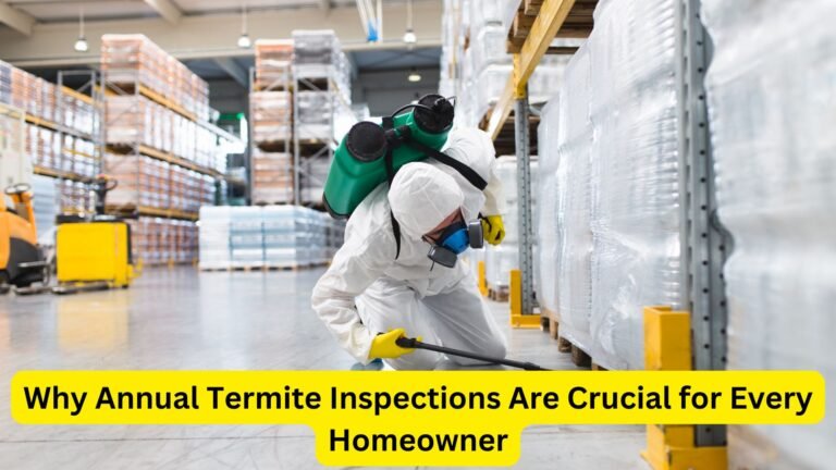 termite inspection gold coast